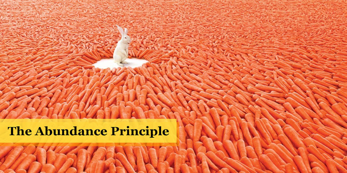 The Abundance Principle